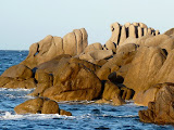 P1080278.JPG