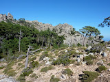 P1080314.JPG