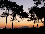 P1080415.JPG