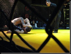IMG_1590 IMG_1590