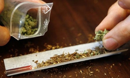 [cannabis_2[2].jpg]