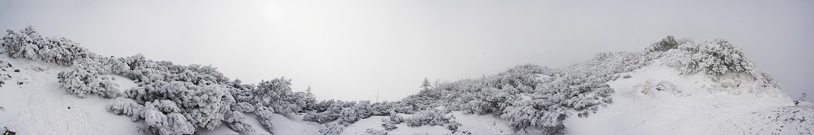 http://lh4.ggpht.com/_vdI8QLKW7Ew/TTyzD83EdcI/AAAAAAAArhM/2klFQijfgjs/s1152/Untitled_Panorama1.jpg