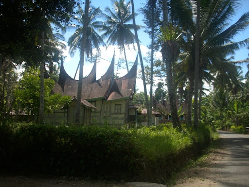 http://lh4.ggpht.com/_ve-mkMwoE1k/SnRXvobVrTI/AAAAAAAABC8/747-Svzg55o/chat2610-9.JPG