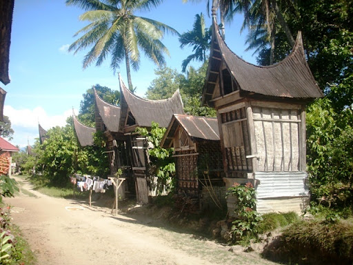 http://lh4.ggpht.com/_ve-mkMwoE1k/SnRZsGG7oaI/AAAAAAAABEM/aADDnnm2GWs/chat2610-28.JPG