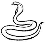 dinosaur colouring page - snake