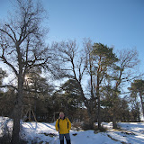 100_7809.jpg