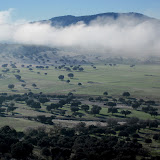 IMG_4249 copia.jpg