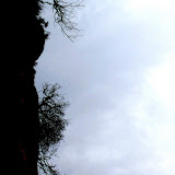 IMG_5147 copia.jpg