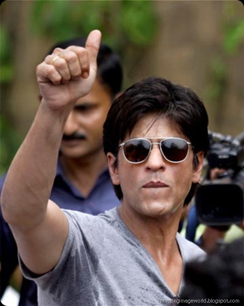 Shah Rukh Khan’s Picks