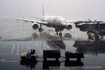 [Snow covered plane[1].jpg]