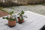 DSC_0037.JPG
