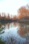 DSC_0024.JPG