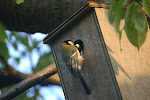 dsc_0176.jpg