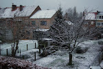 eerste sneeuwlaagje 's morgens in den vroege, d.d. 24/01/07