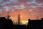 avondrood half maart