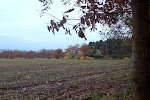 DSC_0156.JPG