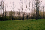 bos en weiland in de Cotthemwijk
