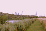 visvijver met de haven van Zeebrugge op de achtergrond