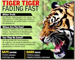 save-tigers