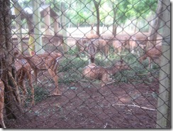 IMG_1723 IMG_1723
