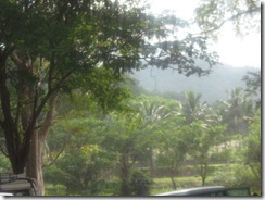 IMG_1746 IMG_1746
