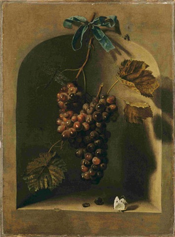 [Barend Van der Meer -Haarlem 1659-ante 1702. Grappolo d'uva appeso davanti a una nicchia II° metà del XVII secolo Tela, cm 53 x 43. L'Aja, Museo Bredius[4].jpg]