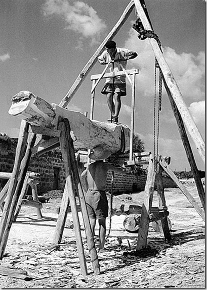 Sega delle assi nel cantiere del boscaiolo, 1950 ca