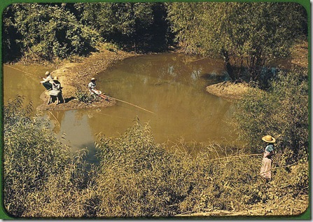 African Americans fishing in creek near cotton plantations. Belzoni, Mississippi, October 1939. Reproduction from color slide. Photo by Marion Post Wolcott. Prints and Photographs Division, Library of Congress