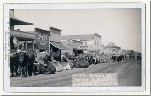Title: Ox teams at Sturgis, D.T. [i.e. Dakota Territory]
Line of oxen and wagons along main street. [between 1887 and 1892]
Repository: Library of Congress Prints and Photographs Division Washington, D.C. 20540
