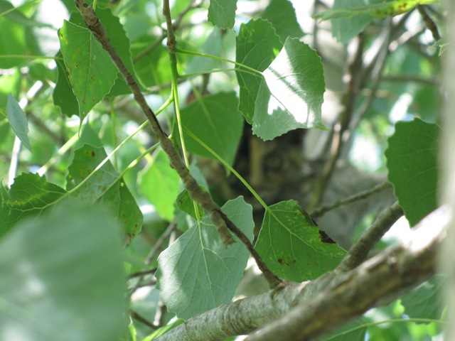 [phillip and falling down the hill 020[4].jpg]