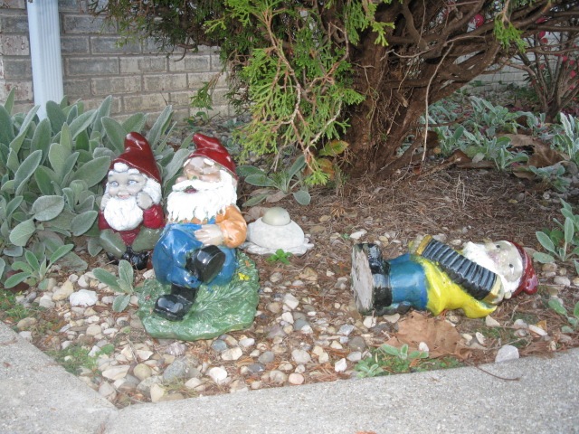 [band concert gnomes 037[5].jpg]