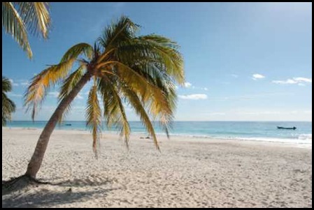 beach scene