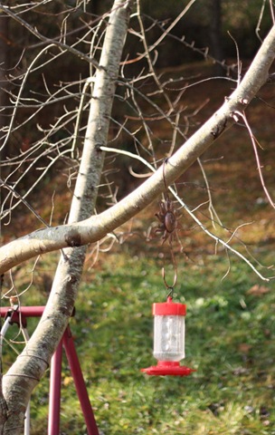 [november 008_resize[5].jpg]