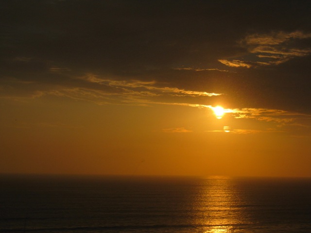 [IMG_0410_resize[4].jpg]