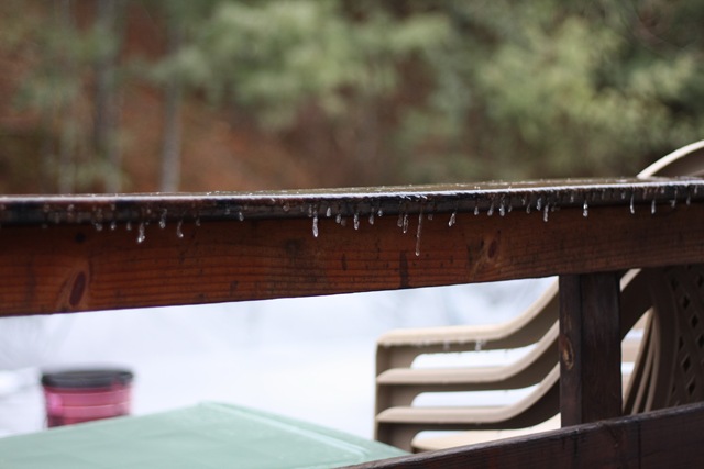 [january last day 003_resize[5].jpg]