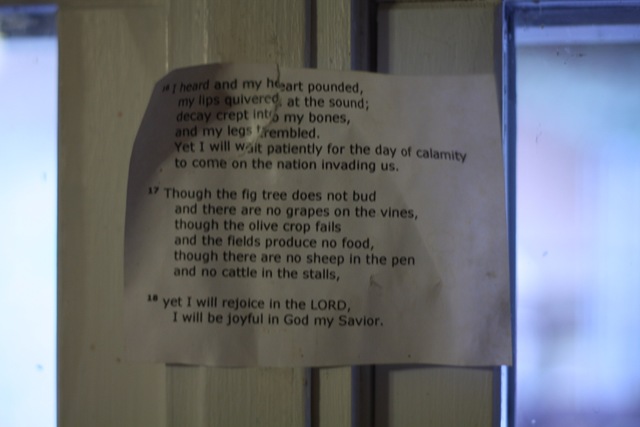 [january last day 008_resize[4].jpg]