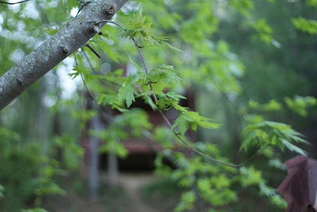 [Copy of 041711071[5].jpg]