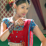 newpg-tamanna27.jpg