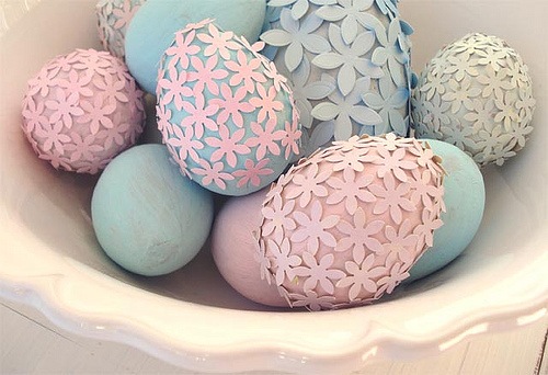 [eggs[3].jpg]