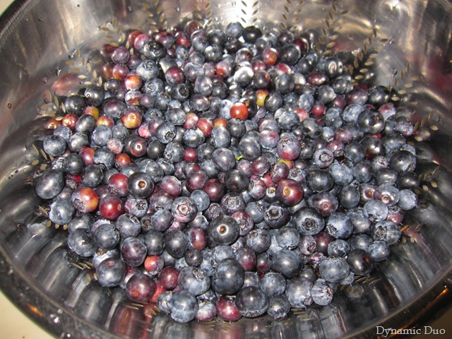 [blueberries![3].jpg]