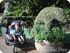 manatee statue in leaves