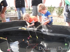 DSCF1546 DSCF1546