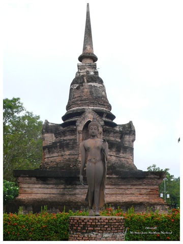 [P1230058[9].jpg]