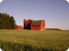 DSC03644