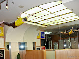 PICT0088_edited.JPG