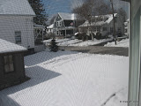 IMG_1189.jpg