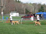 IMG_0154.JPG