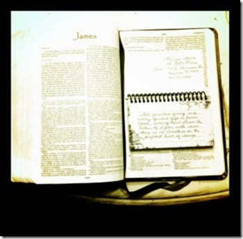 crazy biblical verses