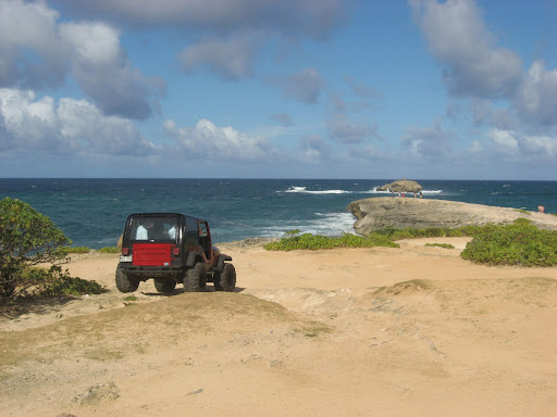 laie