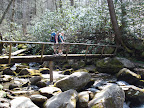 Log Bridge Crossing